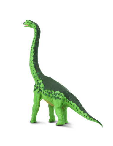 Safari Ltd. Brachiosaurus