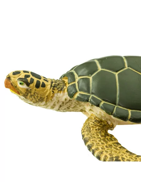 Safari Ltd. Kareta obrovská