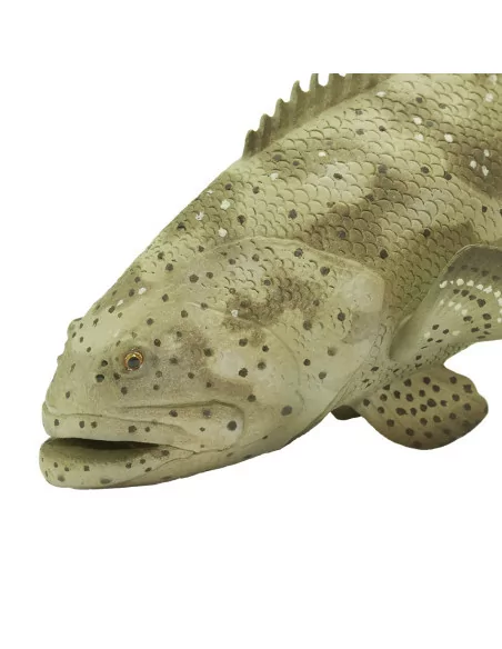 Safari Ltd. Kanic itajara