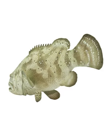 Safari Ltd. Kanic itajara