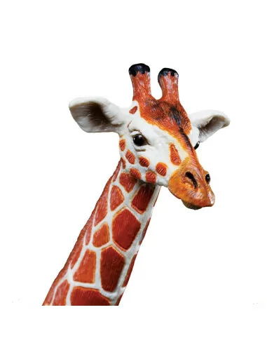 Safari Ltd. Žirafa síťovaná