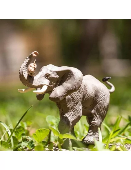 Safari Ltd. Slon africký