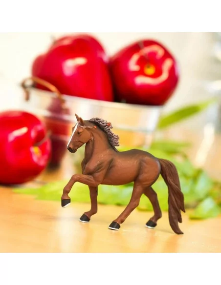 Safari Ltd. Tennesseeský mimochodník