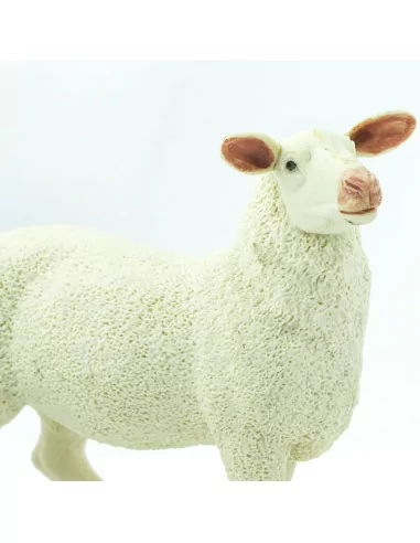 Safari Ltd. Ovečka