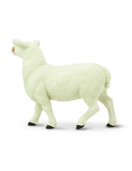 Safari Ltd. Ovečka