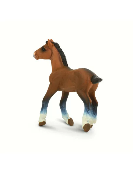 Safari Ltd. Clydesdalské hříbě