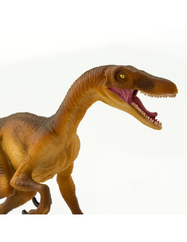 Safari Ltd. Velociraptor