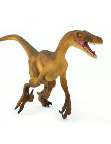 Safari Ltd. Velociraptor