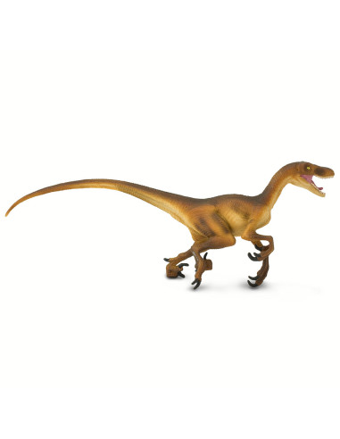 Safari Ltd. Velociraptor