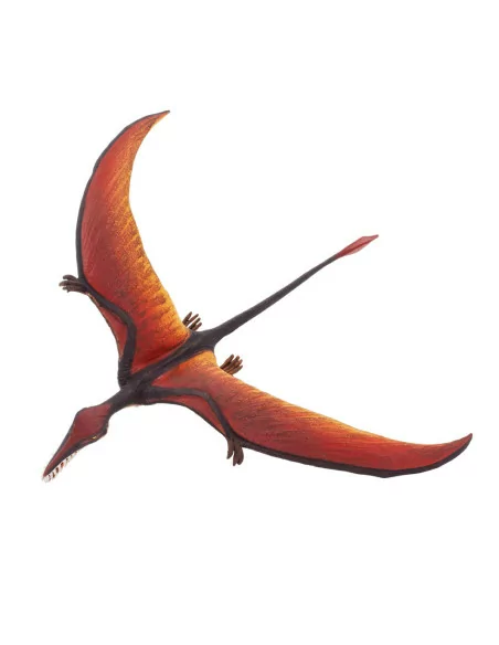 Safari Ltd. Ramphorhynchus