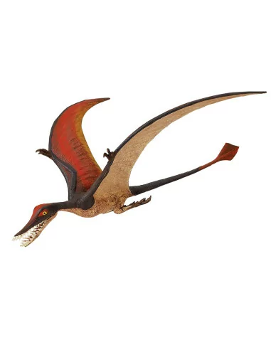 Safari Ltd. Ramphorhynchus