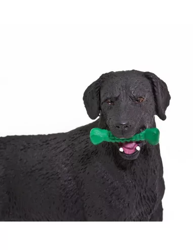 Safari Ltd. Černý labrador