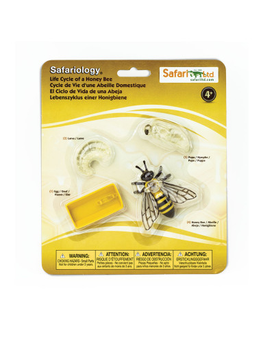 Safari Ltd. Životní cyklus - Včela