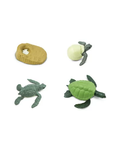 Safari Ltd. Životní cyklus - Mořská želva