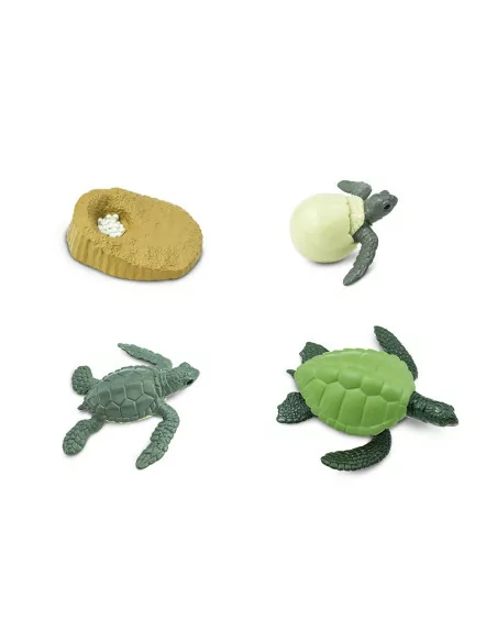 Safari Ltd. Životní cyklus - Mořská želva