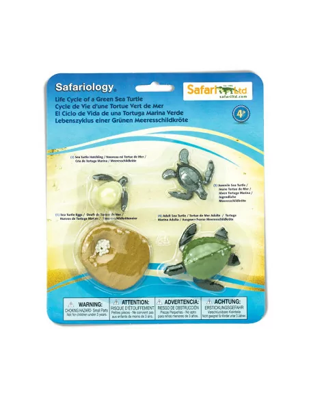 Safari Ltd. Životní cyklus - Mořská želva