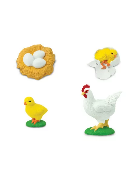 Safari Ltd. Životní cyklus - Kuře