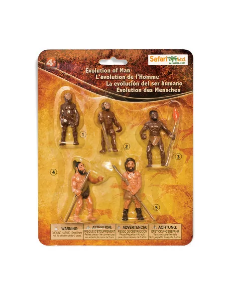 Safari Ltd. Vývoj člověka