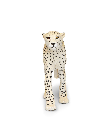 Safari Ltd. Gepard