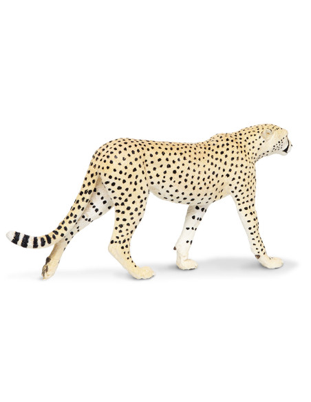 Safari Ltd. Gepard