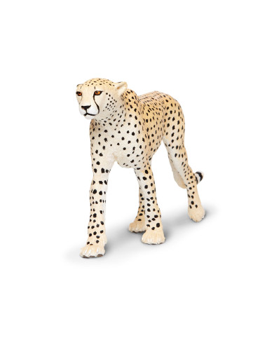 Safari Ltd. Gepard