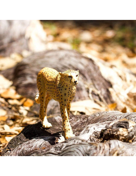 Safari Ltd. Gepard