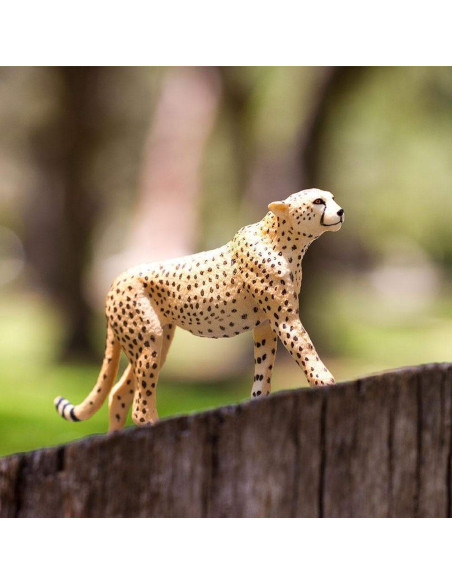 Safari Ltd. Gepard