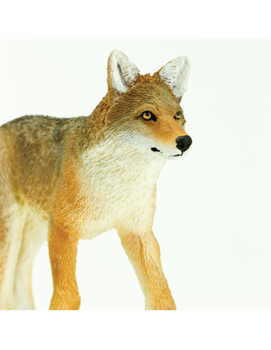 Safari Ltd. Kojot