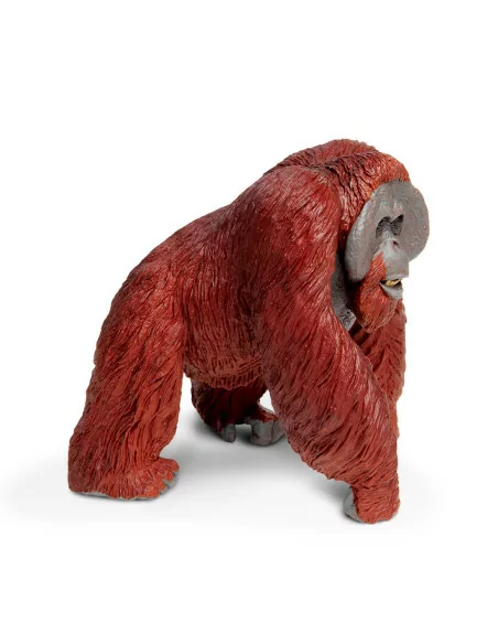 Safari Ltd. Orangutan bornejský