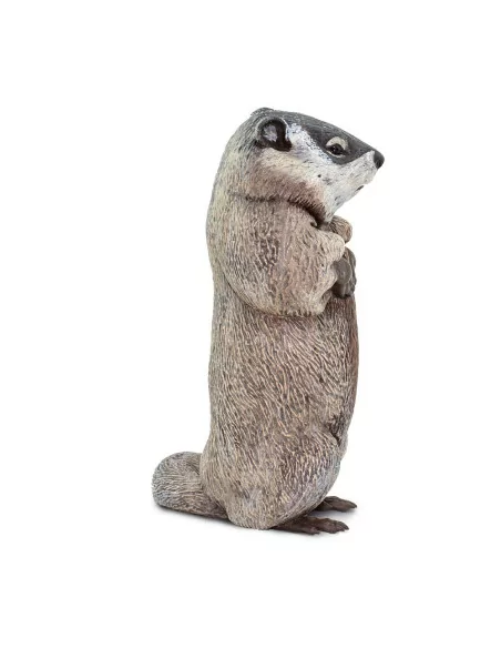 Safari Ltd. Figurka - Svišť