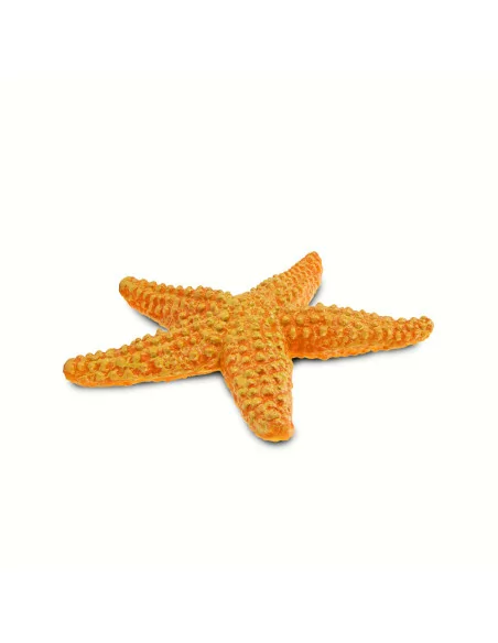 Safari Ltd. Oranžová hvězdice