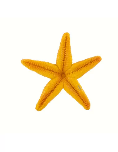 Safari Ltd. Oranžová hvězdice