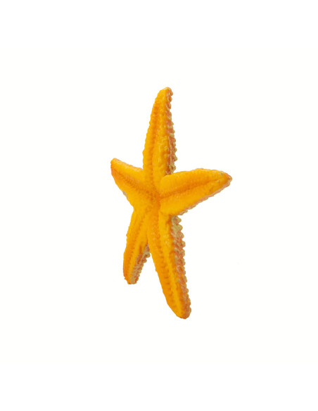 Safari Ltd. Oranžová hvězdice