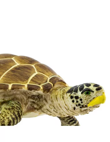 Safari Ltd. Kareta obecná