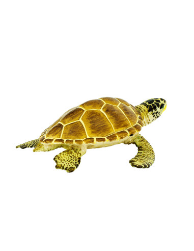 Safari Ltd. Kareta obecná