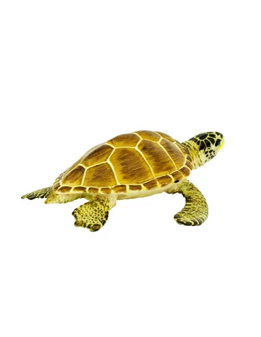 Safari Ltd. Kareta obecná