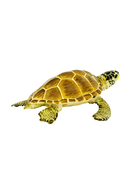 Safari Ltd. Kareta obecná