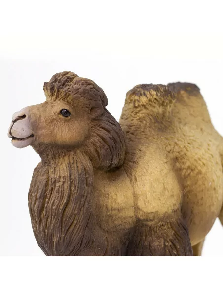 Safari Ltd. Velbloud dvouhrbý