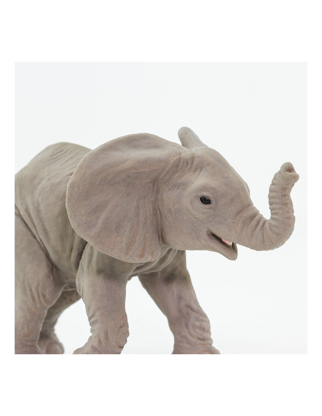 African Elephant Baby