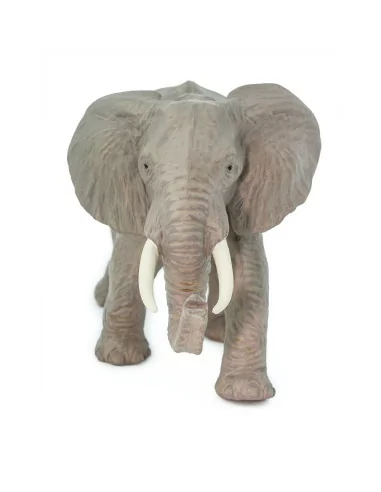 Safari Ltd. Slon africký