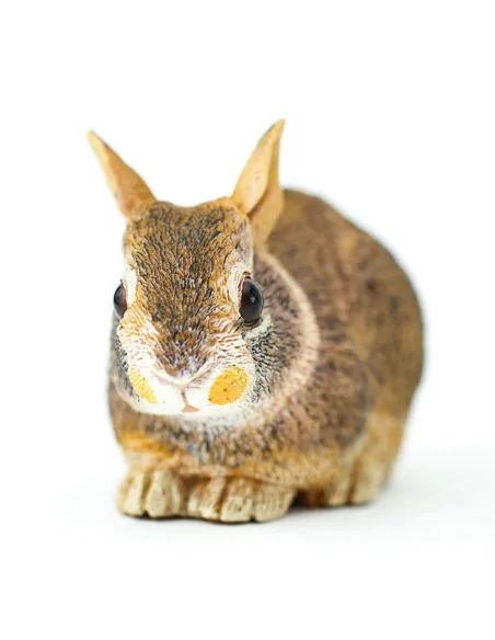 Safari Ltd. Mládě králíka východoamerického