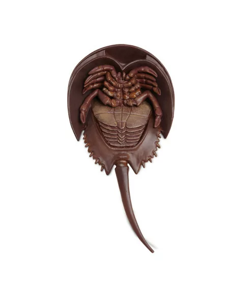 Safari Ltd. Ostrorep molucký