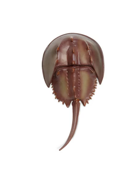 Safari Ltd. Ostrorep molucký