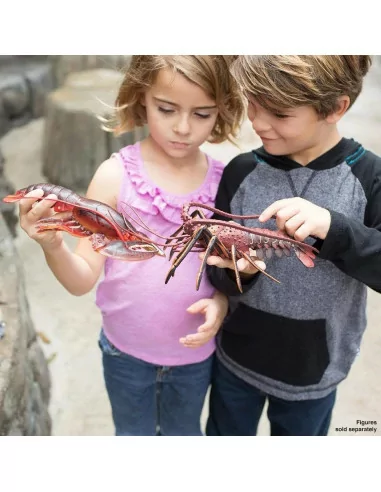 Safari Ltd. Humr evropský