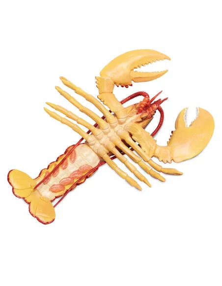 Safari Ltd. Humr evropský