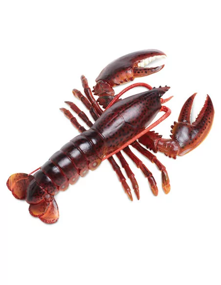 Safari Ltd. Humr evropský