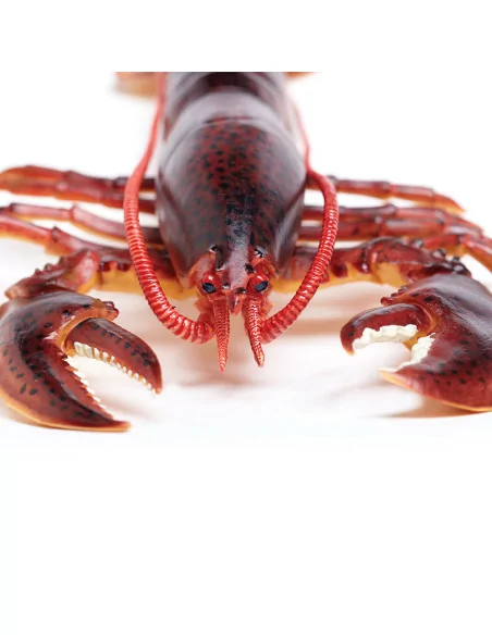 Safari Ltd. Humr evropský