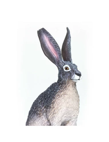 Safari Ltd. Zajíc tmavoocasý