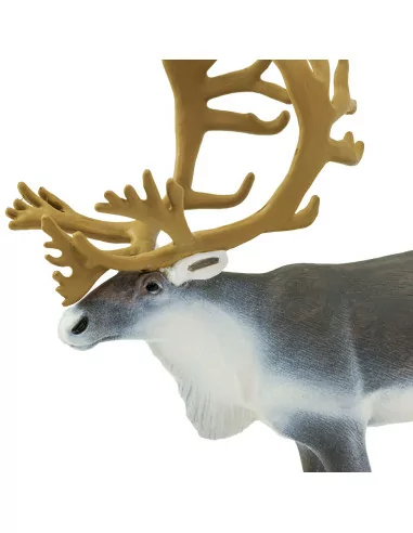 Safari Ltd. Sob polární