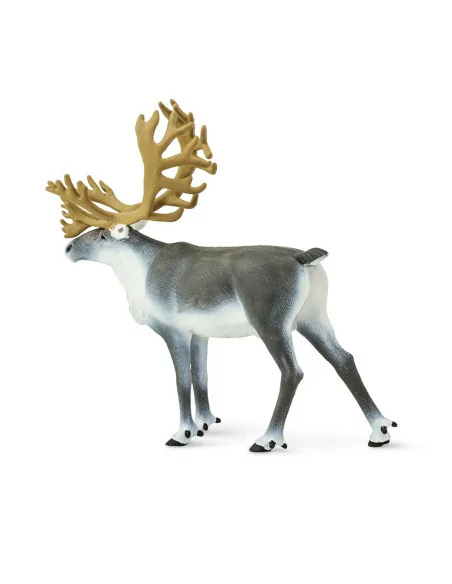 Safari Ltd. Sob polární